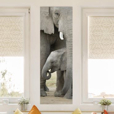 Obraz na płótnie - Miłość słonia