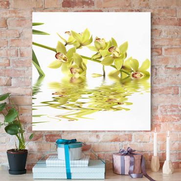 Obraz na płótnie - Eleganckie wody orchidei