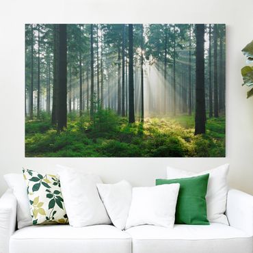 Obraz na płótnie - Świetlany las