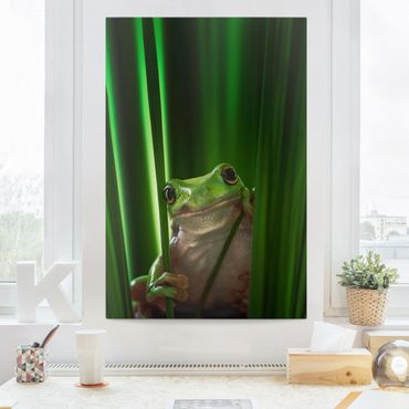 Obraz na płótnie - Wesoła żaba