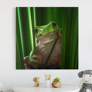 Obraz na płótnie - Wesoła żaba