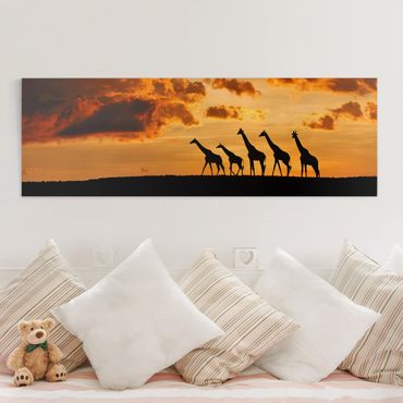 Obraz na płótnie - Pięć żyraf