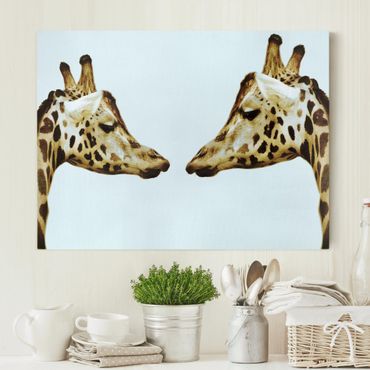 Obraz na płótnie - Zakochane żyrafy