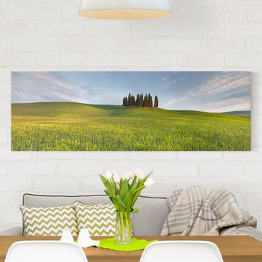 Obraz na płótnie - Zielone pole w Toskanii