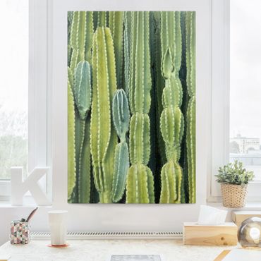 Obraz na płótnie - Ściana kaktusów