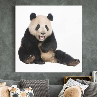 Obraz na płótnie - Śmiejąca się panda