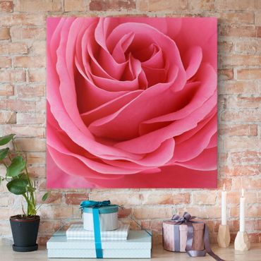 Obraz na płótnie - Różowa róża pełna wdzięku