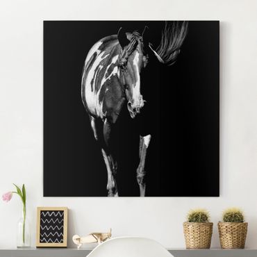 Obraz na płótnie - Koń przed Czarnym