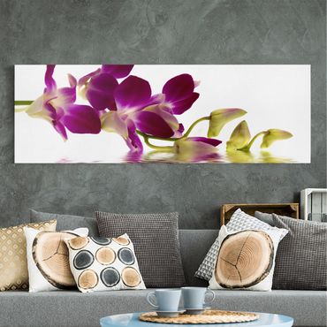 Obraz na płótnie - Wody różowej orchidei