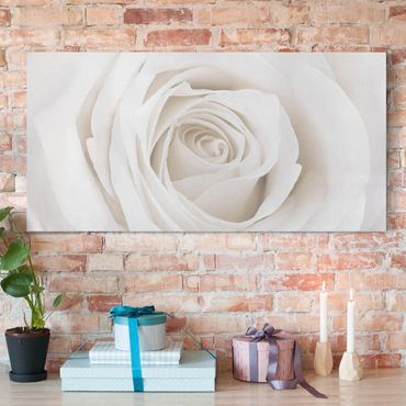 Obraz na płótnie - Piękna biała róża