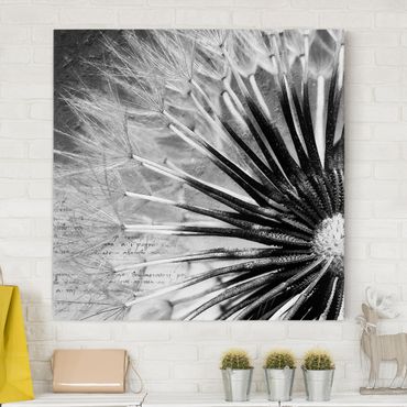 Obraz na płótnie - Dandelion czarno-biały
