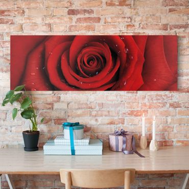 Obraz na płótnie - Róża czerwona z kroplami wody