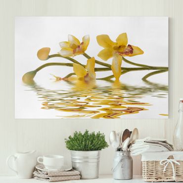 Obraz na płótnie - Saffron Orchid Waters