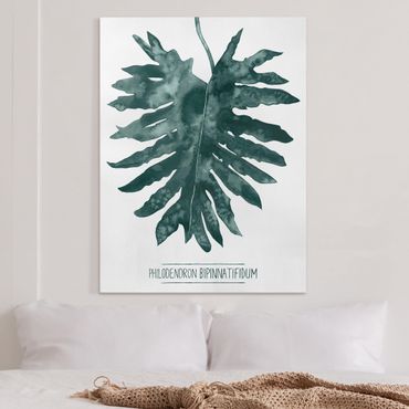 Obraz na płótnie - Smaragd zielony Philodendron Bipinnatifidum