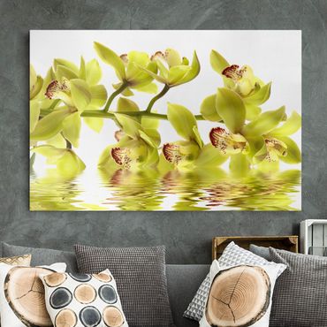 Obraz na płótnie - Wspaniałe wody orchidei