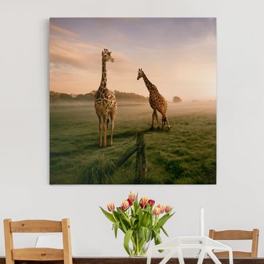 Obraz na płótnie - Surrealistyczne żyrafy