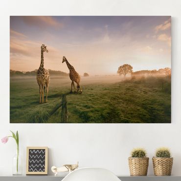 Obraz na płótnie - Surrealistyczne żyrafy