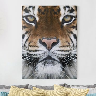 Obraz na płótnie - Oczy tygrysa