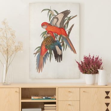 Obraz na płótnie - Papugi tropikalne I