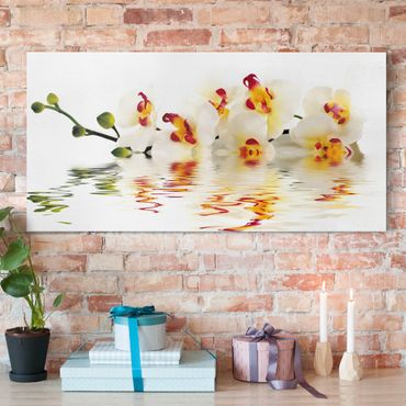 Obraz na płótnie - Wody żywej orchidei