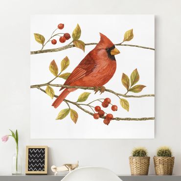 Obraz na płótnie - Ptaki i jagody - Czerwony kardynał
