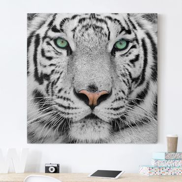 Obraz na płótnie - Biały tygrys