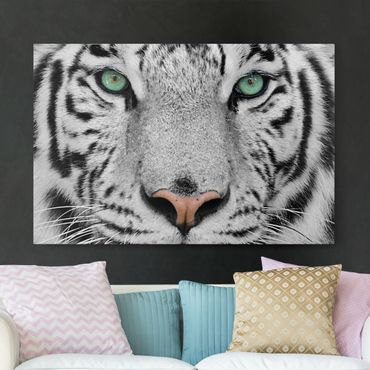 Obraz na płótnie - Biały tygrys