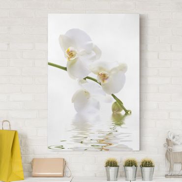 Obraz na płótnie - Wody białej orchidei