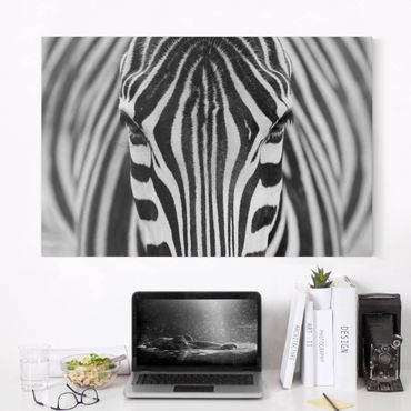 Obraz na płótnie - Zebra Look