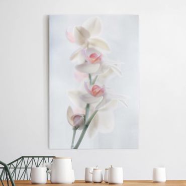 Obraz na płótnie - Fragile Orchid