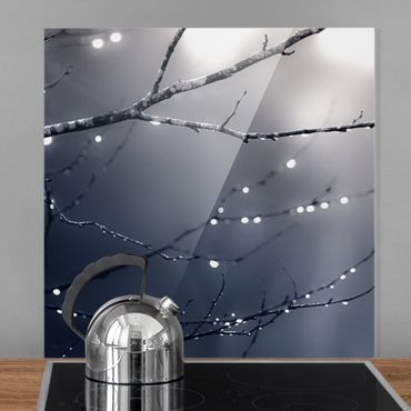 Panel szklany do kuchni - Krople światła na gałęzi brzozy