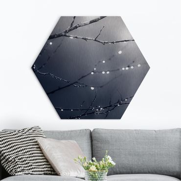 Obraz heksagonalny z Alu-Dibond - Krople światła na gałęzi brzozy