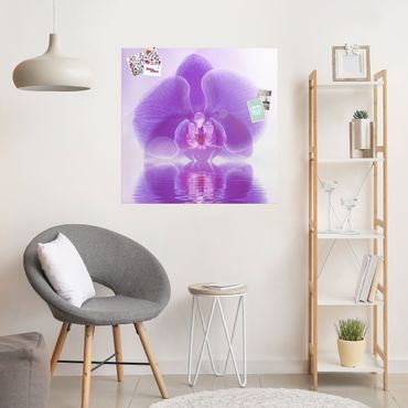 Obraz na szkle - Purpurowy storczyk na wodzie