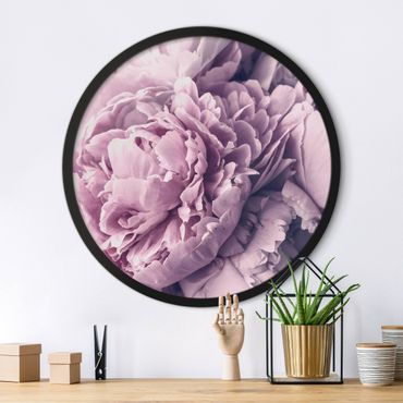 Okrągły obraz w ramie - Purple Peony Blossoms