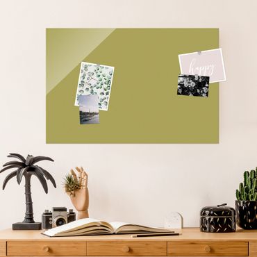 Obraz na szkle - Bambus limonkowo-zielony