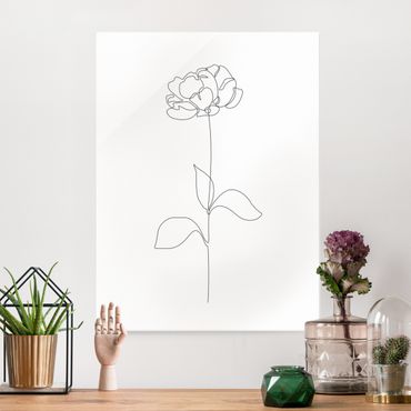 Obraz na szkle - Line Art Flowers - Peony