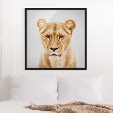 Obraz w ramie - Lioness Lisa