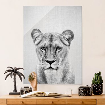 Obraz na szkle - Lioness Lisa Black And White