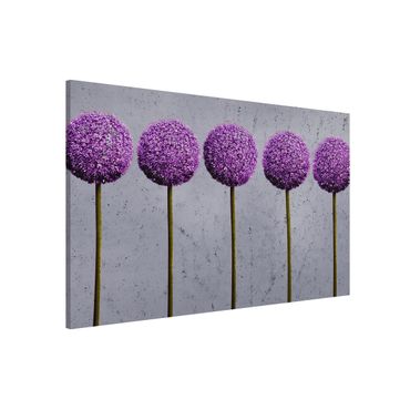 Tablica magnetyczna - Kwiaty kuliste Allium