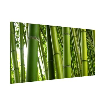 Tablica magnetyczna - Drzewa bambusowe