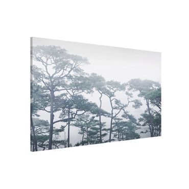 Tablica magnetyczna - Wierzchołki drzew we mgle