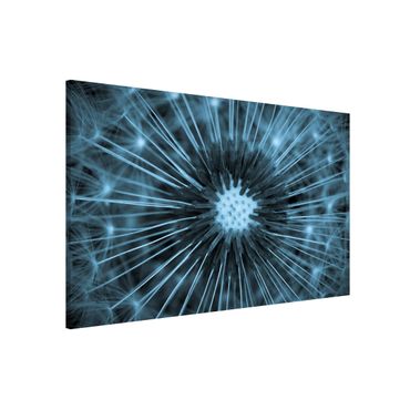 Tablica magnetyczna - Niebieski Tinted Dandelion