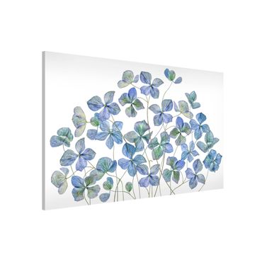 Tablica magnetyczna - Błękitne kwiaty hortensji