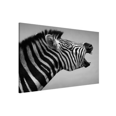 Tablica magnetyczna - Rycząca Zebra II