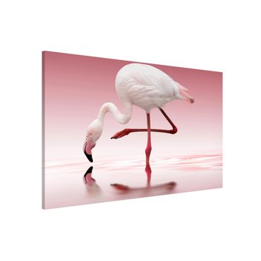 Tablica magnetyczna - Taniec flamingów
