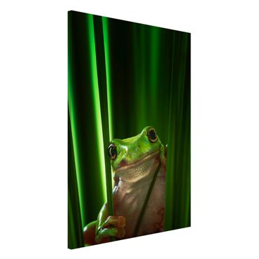 Tablica magnetyczna - Wesoła żaba