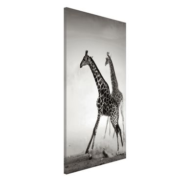 Tablica magnetyczna - Polowanie na żyrafę