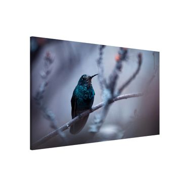 Tablica magnetyczna - Koliber w zimie