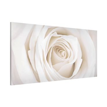 Tablica magnetyczna - Piękna biała róża