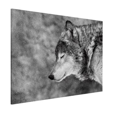 Tablica magnetyczna - Winter Wolf